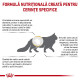Royal Canin Veterinary Feline Urinary S/O – Hrană Uscată pentru Pisici cu Afecțiuni Urinare, 400 g